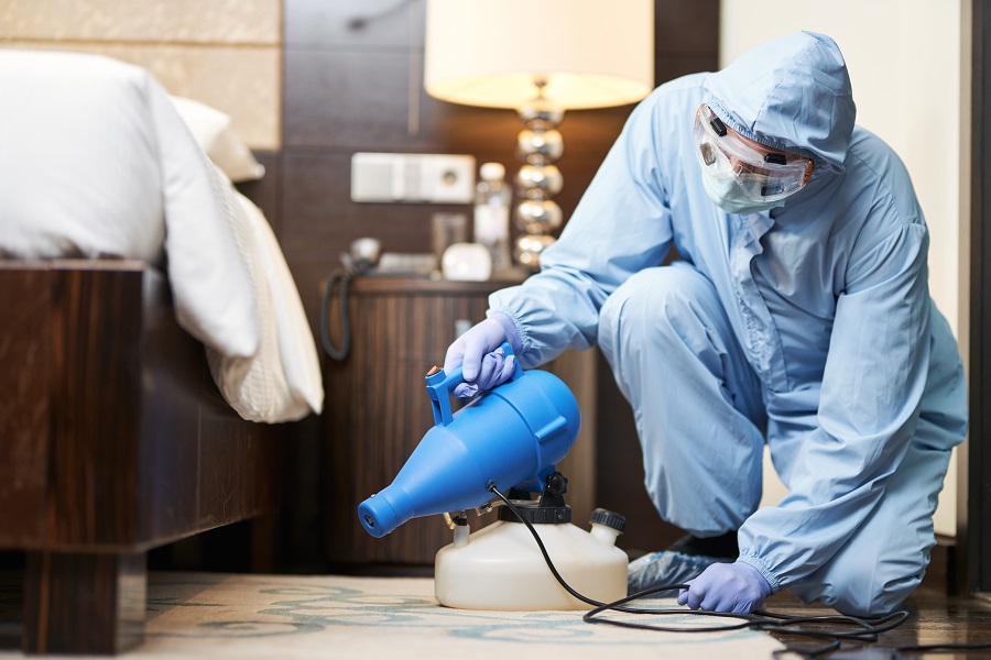 The Leading Bed Bug Control Companies in Illinois