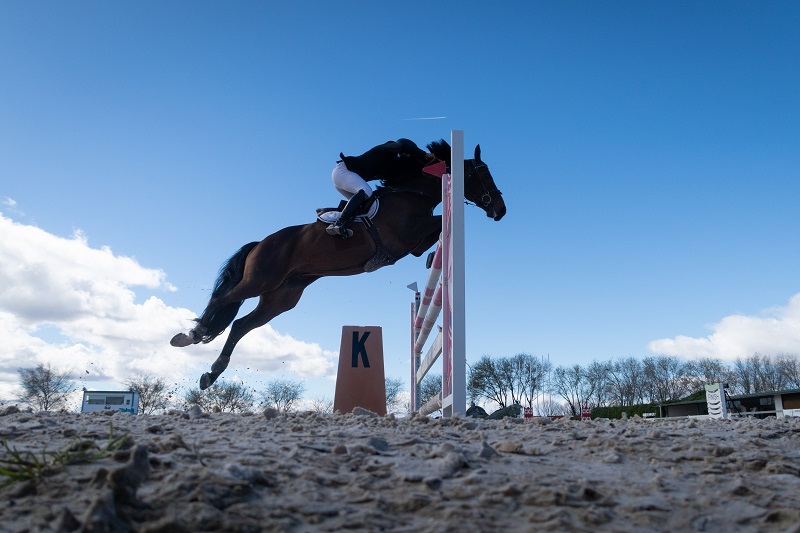 How to Improve Your Horse's Speed and Agility for Jumping