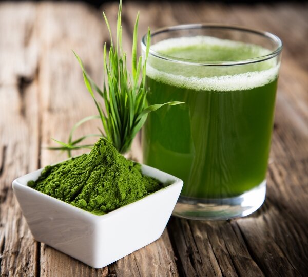 Barley grass is consumed in different ways